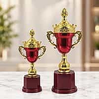RC-CP2316KD G/R 32CM