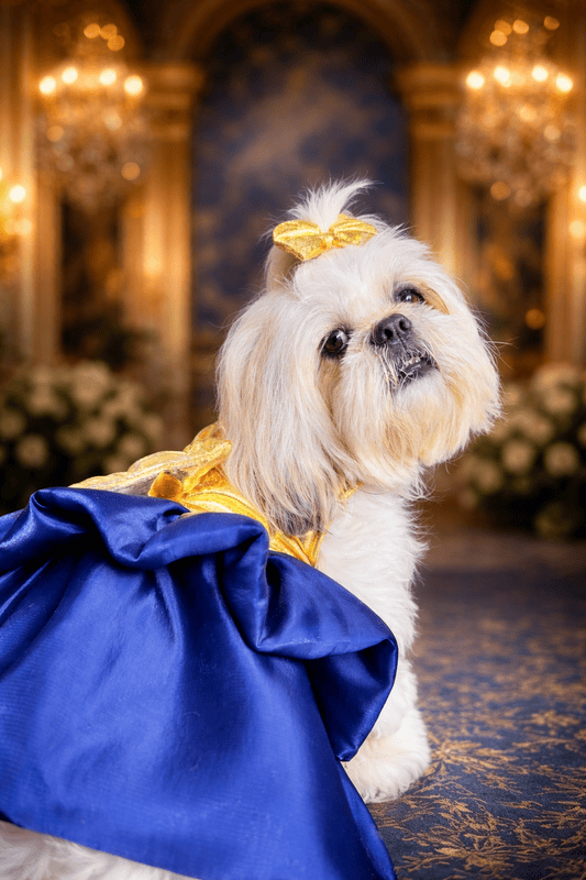 Golden Blue Party Dress