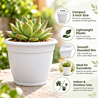 3 Inch Succulent Plastic Pot | ECSHA