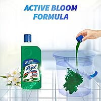 Lizol Disinfectant Surface & Floor Cleaner Liquid,l - 500ml |