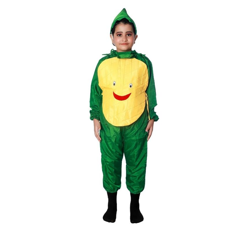 Mango Fruit Fancy Dress Costume For Kids