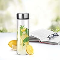 Treo by Milton Borosilicate Crysta Glass Bottle, 500 ml, Brush Steel