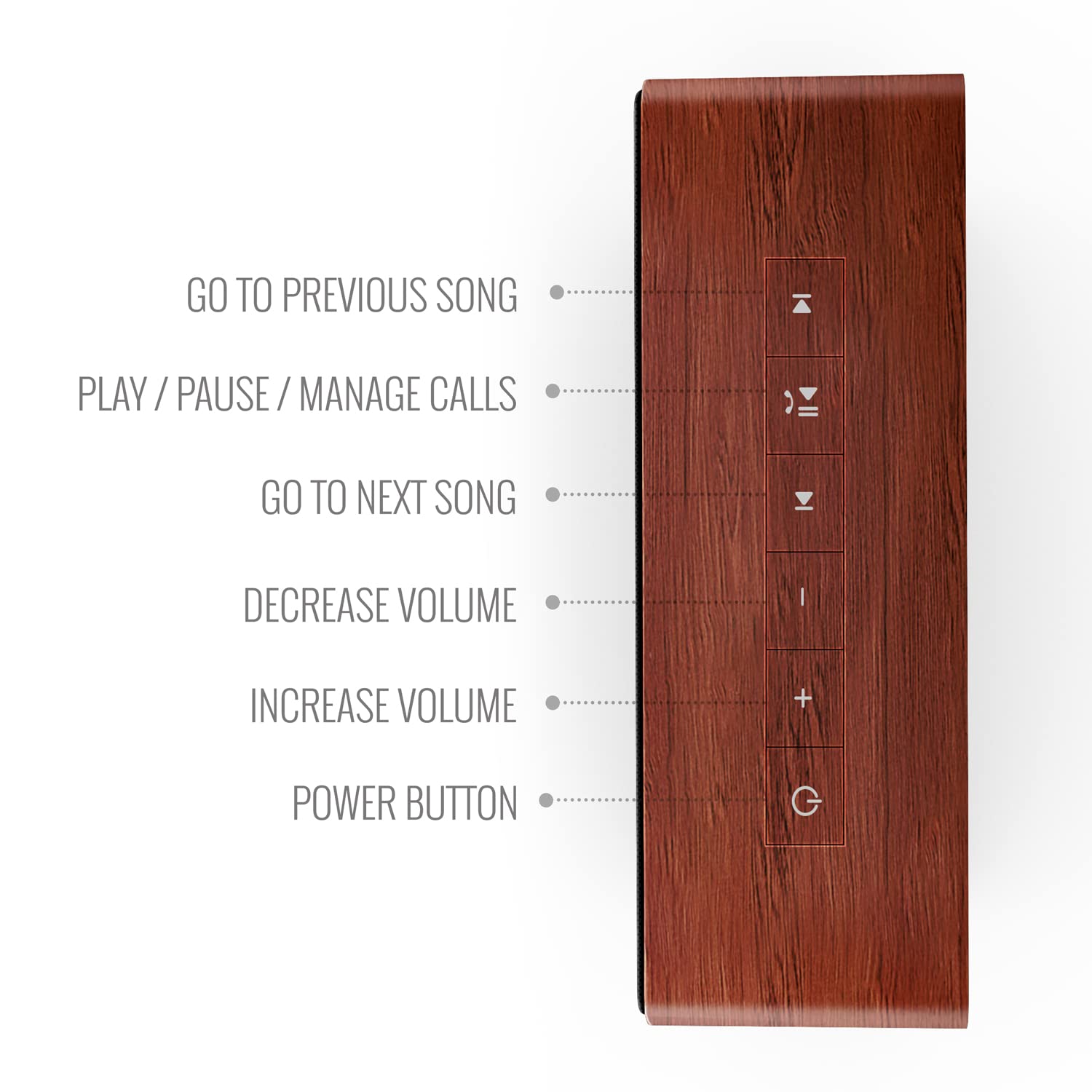 Saregama Carvaan Mini Plus (Vintge Brown)