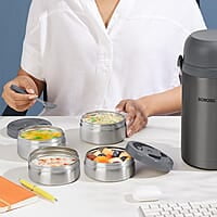 Borosil Hot-N-Fresh Prime Stainless Steel Insulated Lunch Box, Keeps food warm upto 8 Hours, Set of 4 (2 pcs 420 ml + 2 Pcs 350 ml), Grey