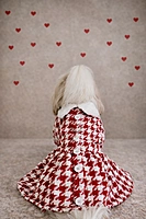 Red & White Tweed Coat Dress