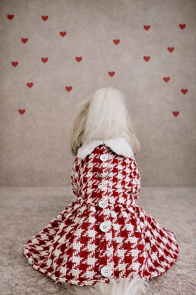 Red & White Tweed Coat Dress