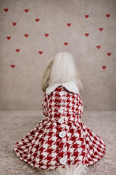 Red & White Tweed Coat Dress