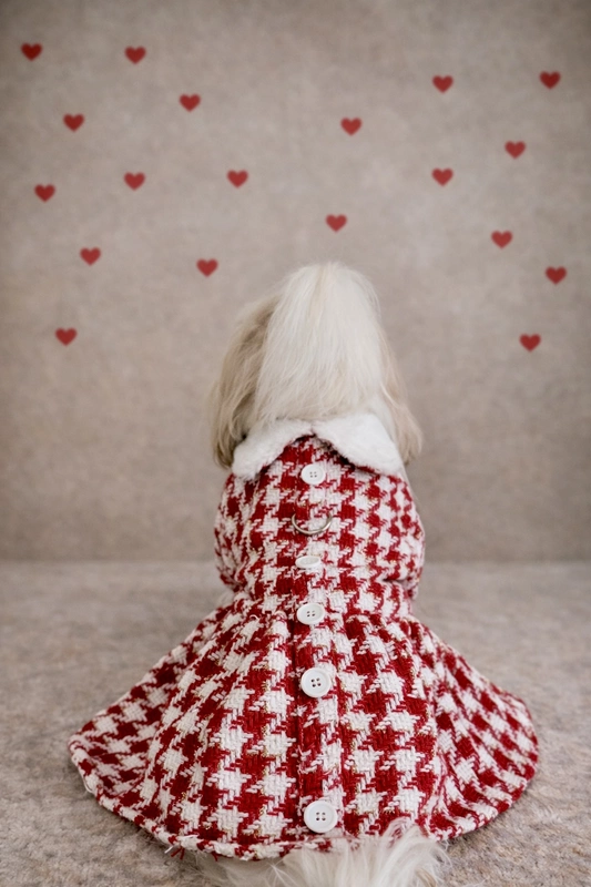 Red & White Tweed Coat Dress