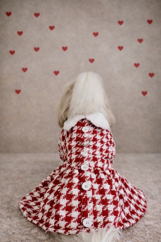 Red & White Tweed Coat Dress