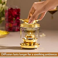 Borosil Medium Brass Diffuser