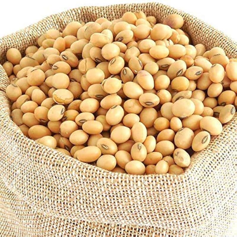 Soyabean Dal
