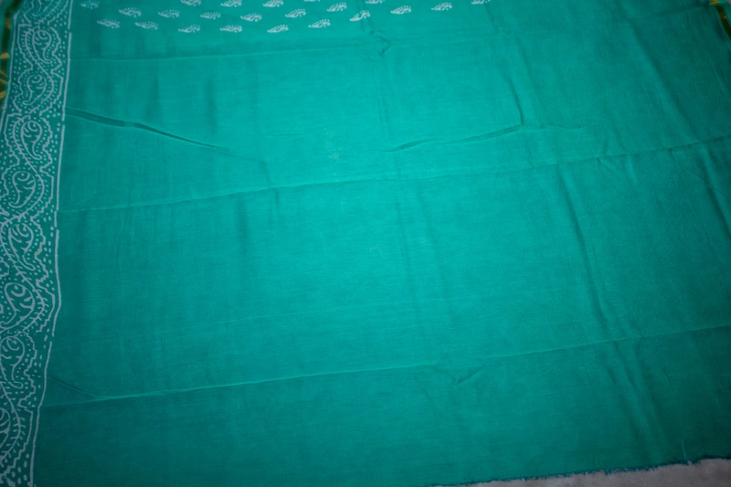Chanderi Silk Saree - Mint Green with Block Print