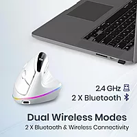 Portronics Toad Ergo 3 Black Mouse – Wireless, RGB, 2400 DPI, ergonomic design for comfort, customizable buttons, high precision tracking, perfect for gaming and productivity, sleek, appearance.