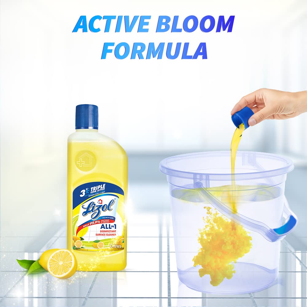 Lizol Disinfectant Surface & Floor Cleaner Liquid,l - 500ml |