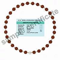 Original Rudraksha Mala in Silver with Vel Pendant Certified