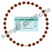 925 Sterling Silver Rudraksha Mala with Murugan Om Pendant – Traditional Bead Necklace
