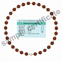 Silver Rudraksha Mala with Karungali Pendant