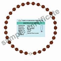 Silver Tied Rudraksha Bracelet