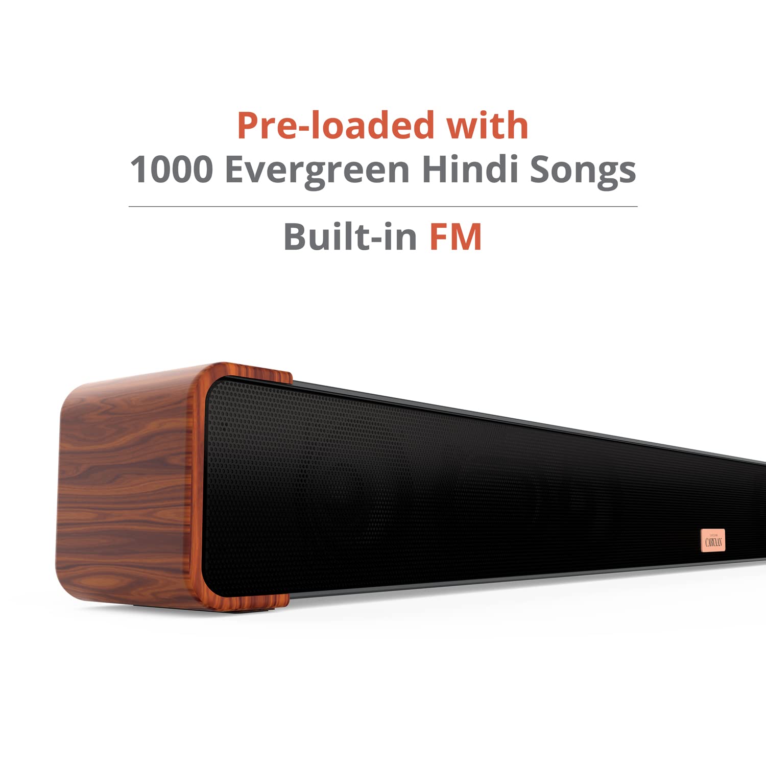 Saregama Carvaan Musicbar with Karaoke