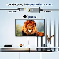 Portronics Konnect Vision C – Type-C to HDMI Adapter | 4K, 30Hz | 1.5M Nylon Braided | Black