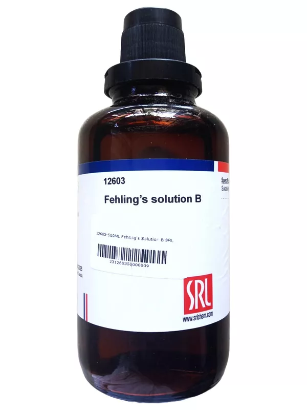 Fehling&grave;s Solution B 500ml SRL