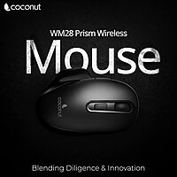 Coconut WM28 Prism Wireless Mouse (Ergonomic, 6 Buttons, RGB Lighting, Adjustable DPI, Plug & Play, Sleek Design, 1 Year Warranty)