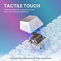 Portronics Hydra 10 Mechanical Wireless Gaming Keyboard – Bluetooth 5.0 + 2.4GHz | RGB Lights 16.8 Million Colors | Type-C Charging | Compatible with PC, Smartphone & Tablet | Brown