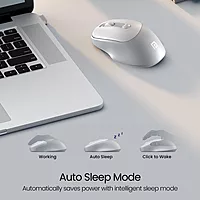 Portronics Toad 35 Wireless Mouse – 2.4GHz Wireless | Adjustable Sensitivity | USB Receiver | Ergonomic Design | For Laptop, Desktop, PC, Mac | White