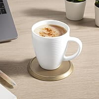 BOROSIL THERMO STAINLESS STEEL BOTTLE-750ml