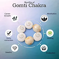 Gomti Chakra 21 Pieces – Natural Gomti Chakra Collection