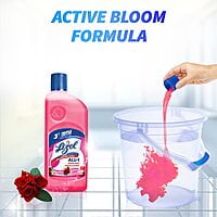 Lizol Disinfectant Surface & Floor Cleaner Liquid,l - 500ml |