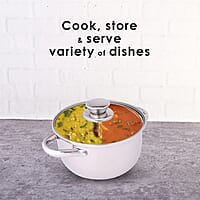 Wonderchef Nigella Stainless Steel Casserole with Lid Curved Body Glass Lid with Steam Vent 16cm