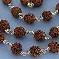 Silver Rudraksha Mala with Karungali Pendant