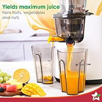 Wonderchef Regenta Full Fruit Juicer High Juice Yield 240W 55 RPM Fine Strainer