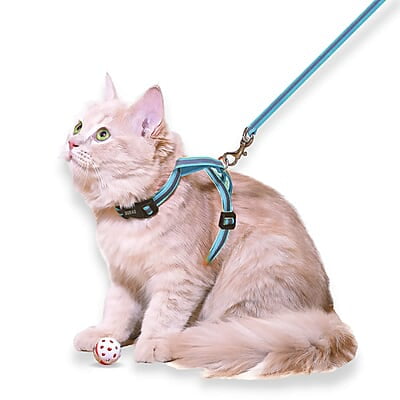 Reflective Cat Harness with Leash Set Reflective Cat Harness with Leash Set