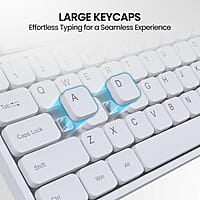 Portronics Ki-Pad 3 USB Wired Keyboard with Large Keycaps, Noise-Free Typing, Fn Multimedia Hotkeys, Full-Size Layout with Num Pad, Ergonomic Design, 1.5m USB Cable