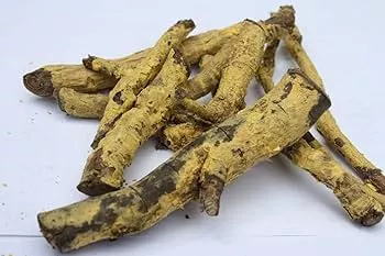 Ekanayakam Root