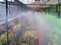 Polyhouse Fogging / Misting System Installation