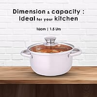 Wonderchef Nigella Stainless Steel Casserole with Lid Curved Body Glass Lid with Steam Vent 16cm