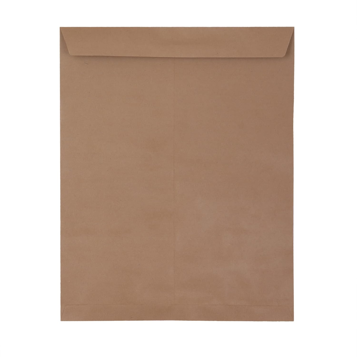 Brown Envelope