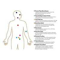 Borosil Copper Water Bottle, 1 Litre, Bottle Cleaner