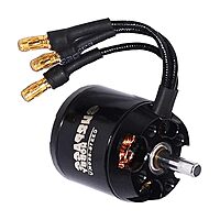 Enakshi (LABEL) Creations 2216 880Kv 14 Poles Brushless Motor Compatible with Hbx Rc Airplane Fixed-Wing PartsToys & Hobbies|Radio Control & Control Line|Rc Model Vehicle Parts & Accs| Rc Parts & Accs