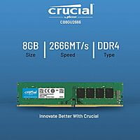 Crucial Basics 8GB DDR4 1.2v 2666Mhz CL19 UDIMM RAM Memory Module for Desktop, Green