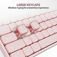 Portronics Ki-Pad 3 USB Wired Keyboard with Large Keycaps, Noise-Free Typing, Fn Multimedia Hotkeys, Full-Size Layout with Num Pad, Ergonomic Design, 1.5m USB Cable
