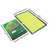 Mouse And Rat Capture