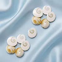 Gomti Chakra 21 Pieces – Natural Gomti Chakra Collection
