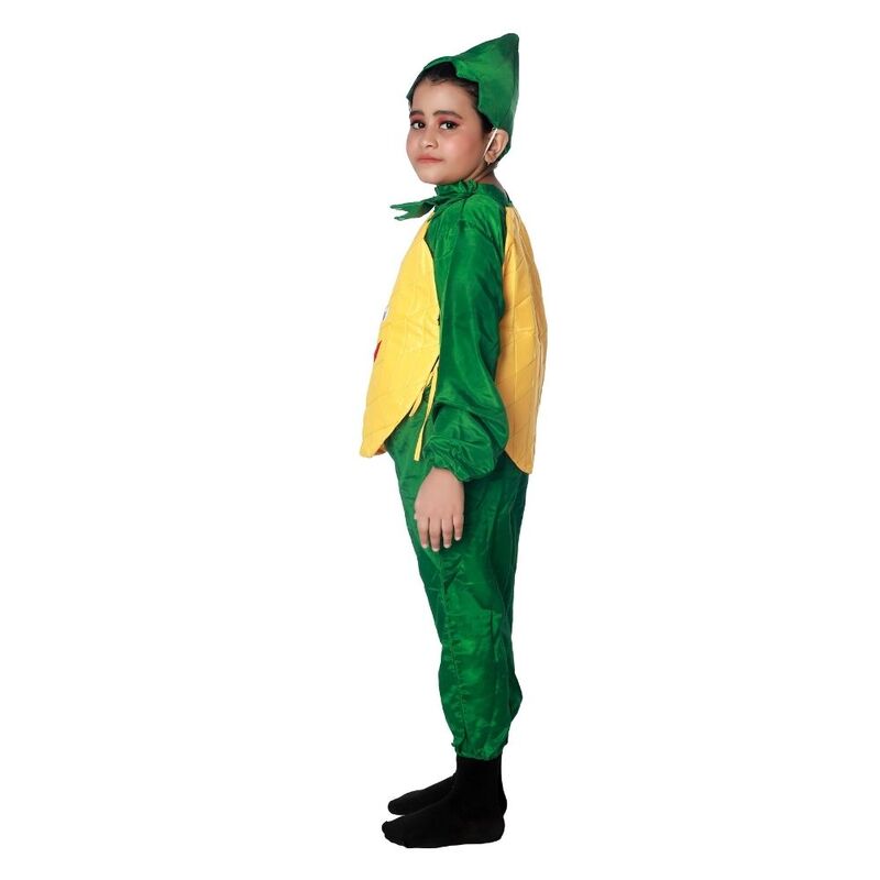 Mango Fruit Fancy Dress Costume For Kids