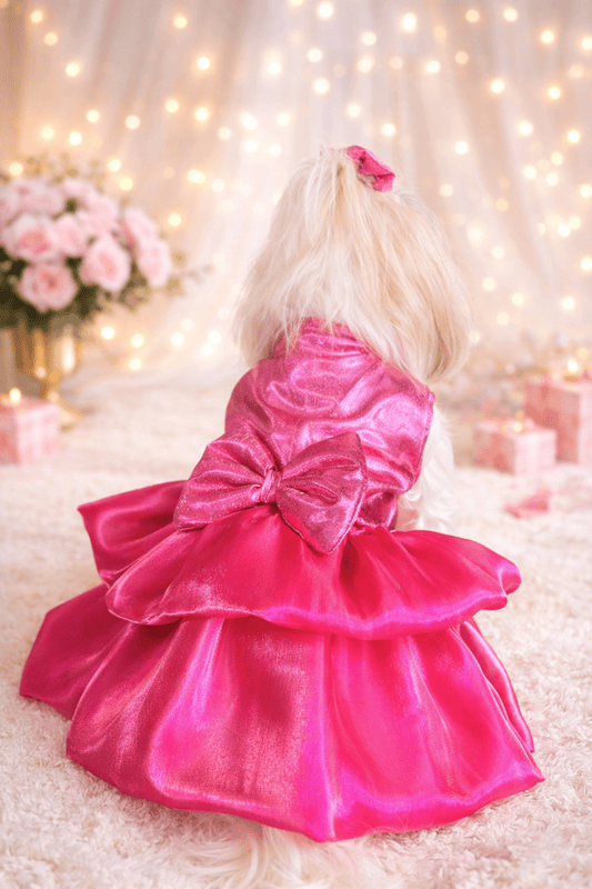 Hot Pink Barbie Dress
