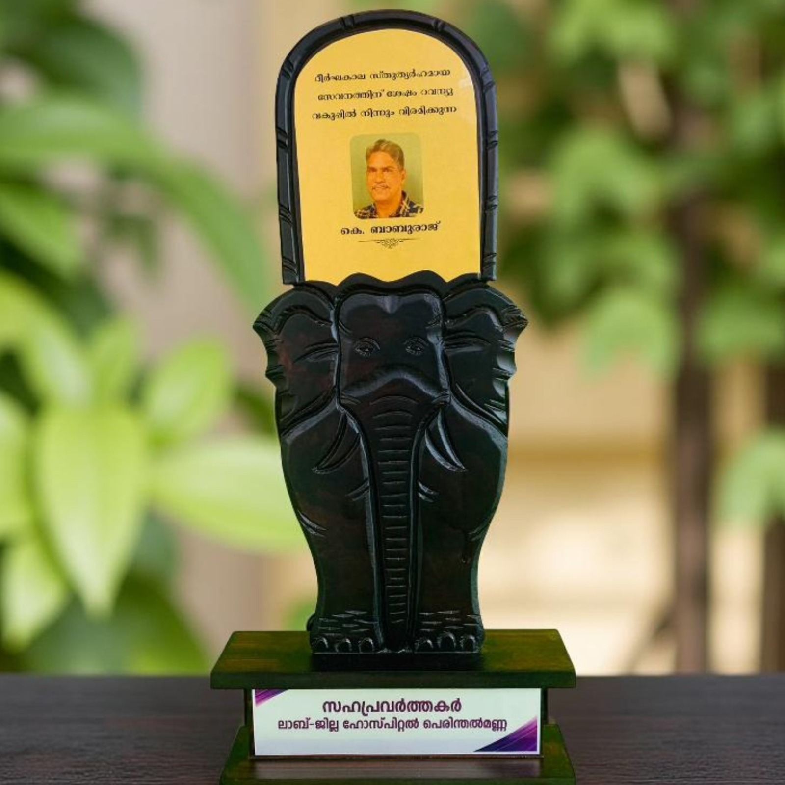 DSN-146 AANA 46.50CM 12%