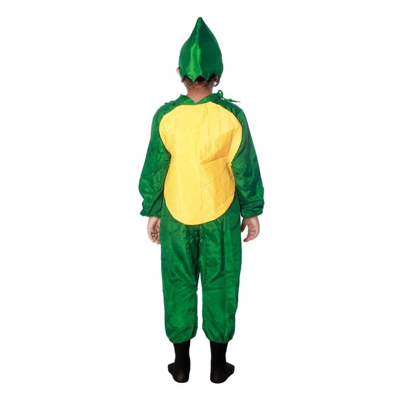 Pineapple Fruit Fancy Dress Costume Pineapple Fruit Fancy Dress Costume